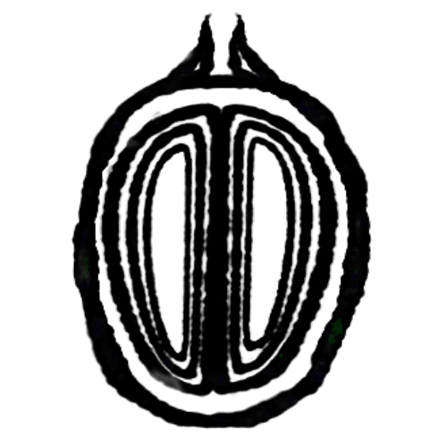 %SILVERSKIN COFFEE ROASTERS%
